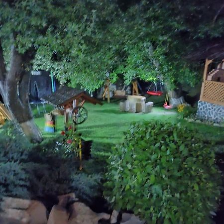 Casa Dintre Pini Villa Păltinoasa Exteriör bild