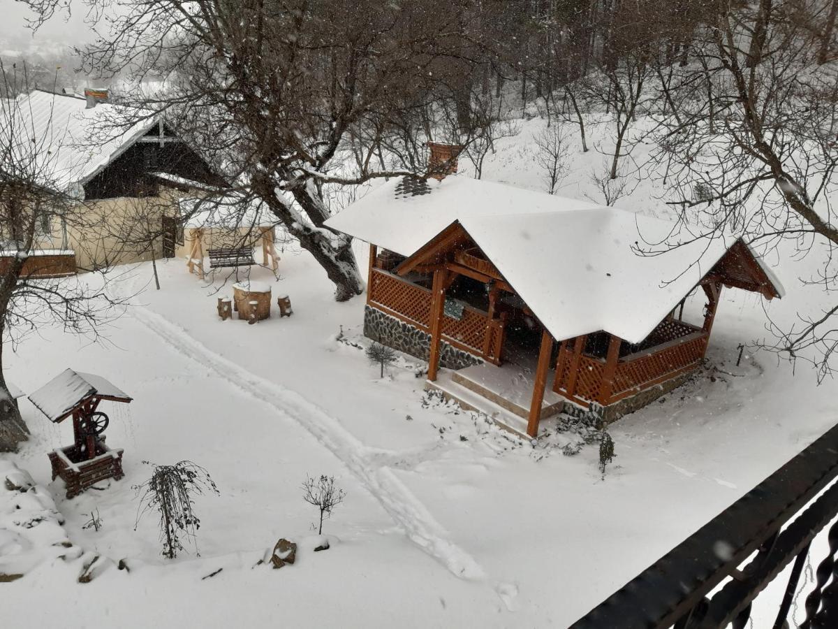 Casa Dintre Pini Villa Păltinoasa Exteriör bild