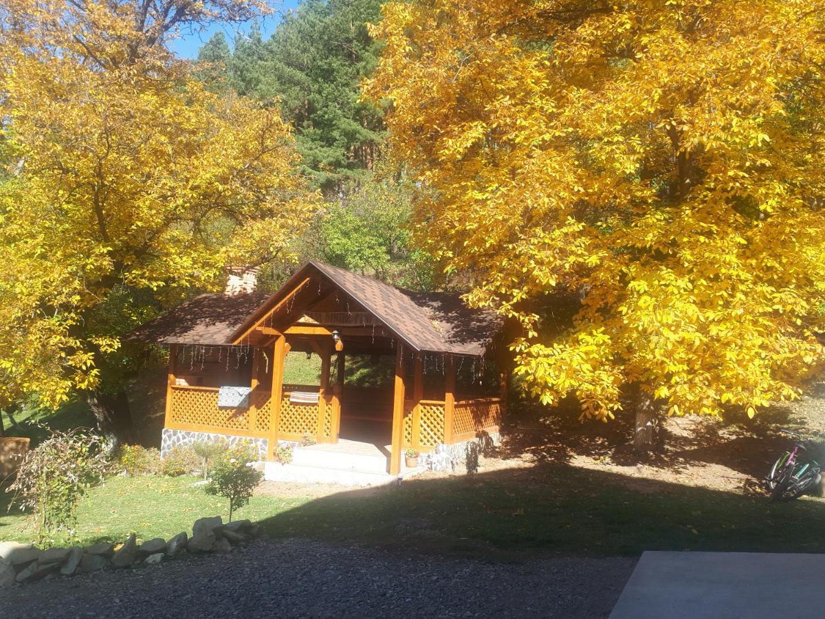 Casa Dintre Pini Villa Păltinoasa Exteriör bild