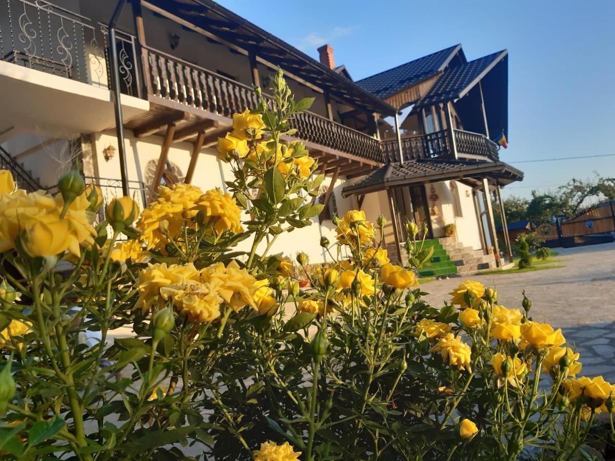 Casa Dintre Pini Villa Păltinoasa Exteriör bild