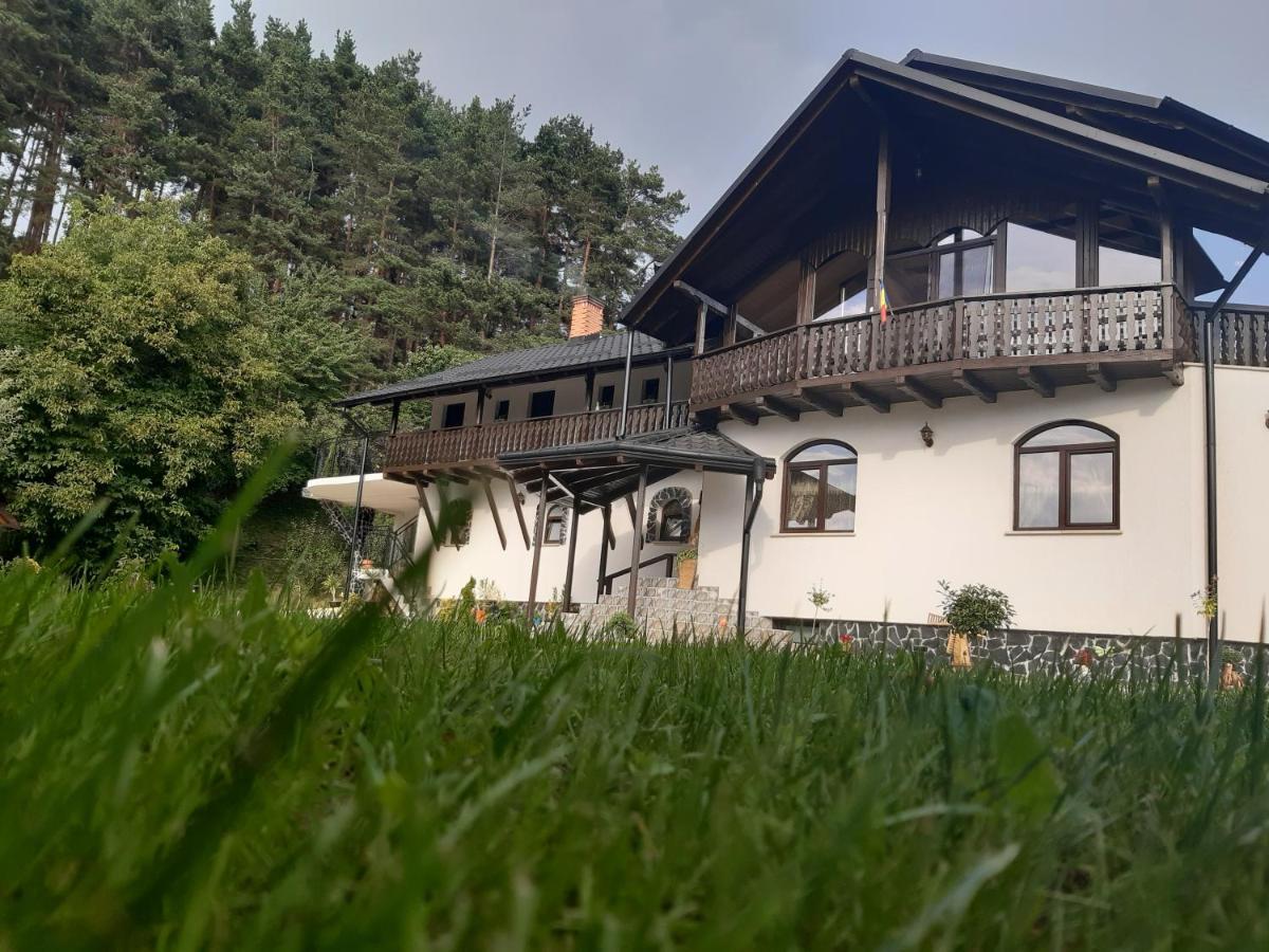 Casa Dintre Pini Villa Păltinoasa Exteriör bild