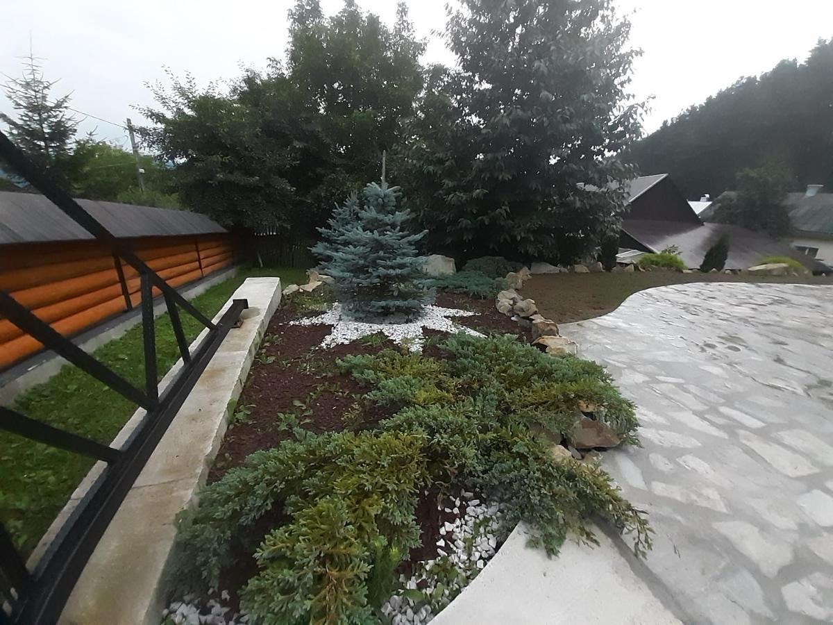 Casa Dintre Pini Villa Păltinoasa Exteriör bild