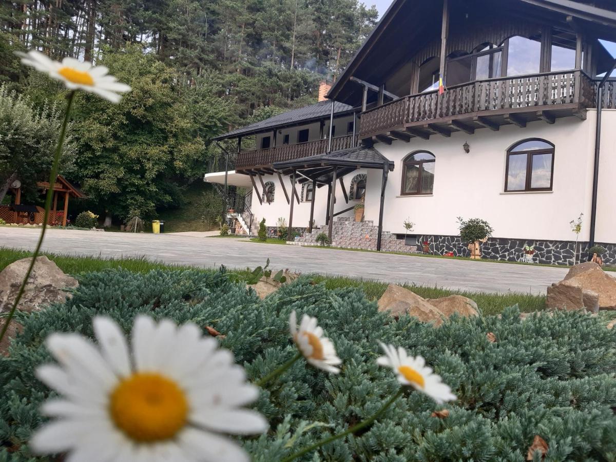 Casa Dintre Pini Villa Păltinoasa Exteriör bild