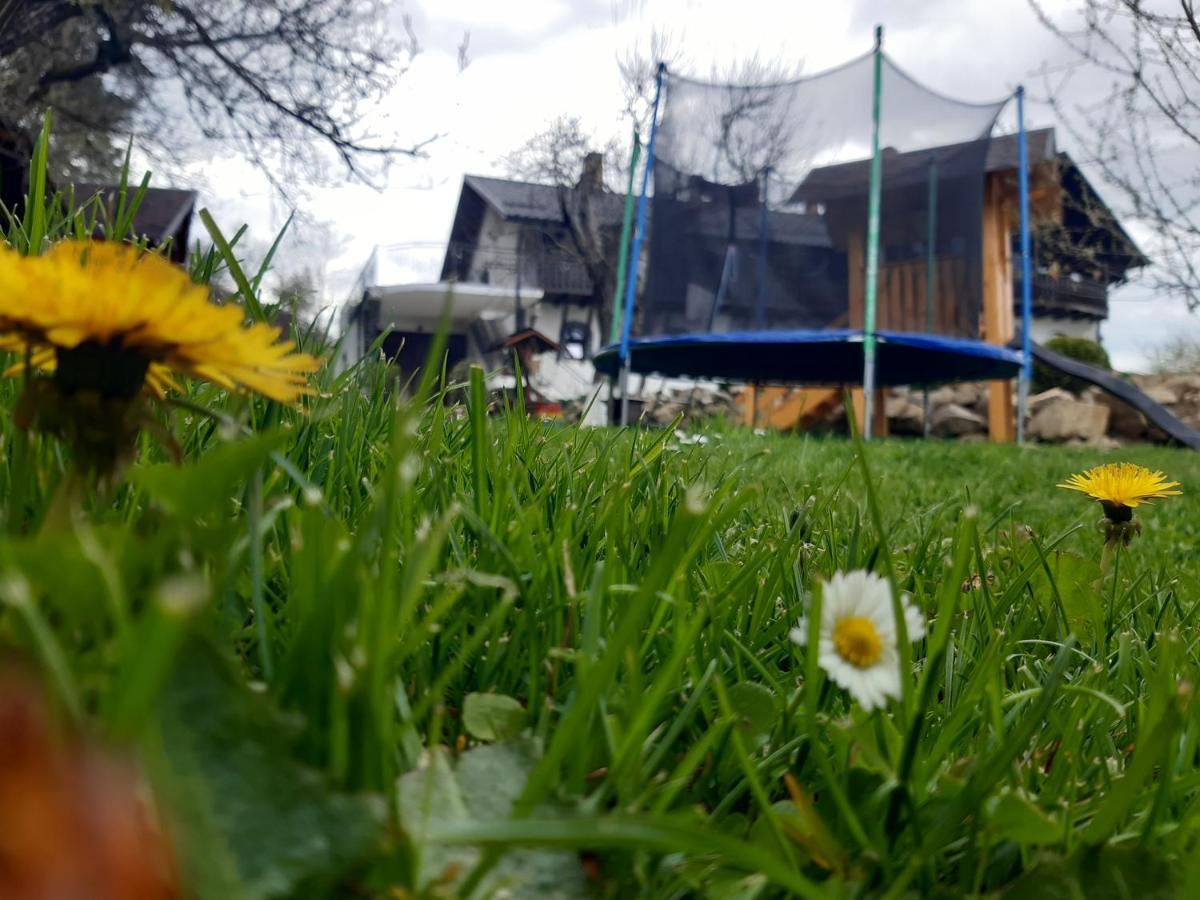 Casa Dintre Pini Villa Păltinoasa Exteriör bild