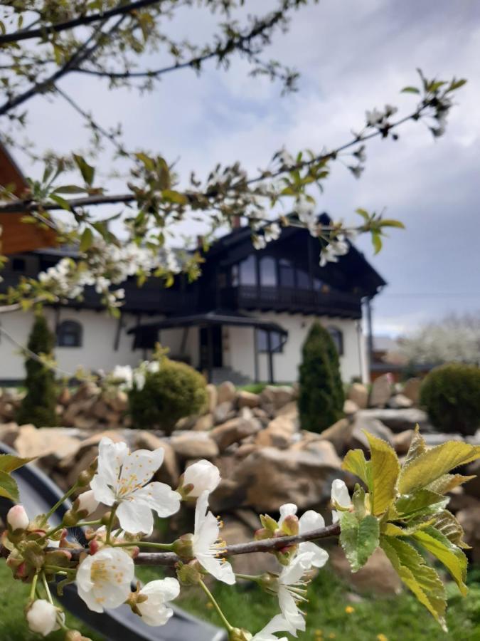 Casa Dintre Pini Villa Păltinoasa Exteriör bild