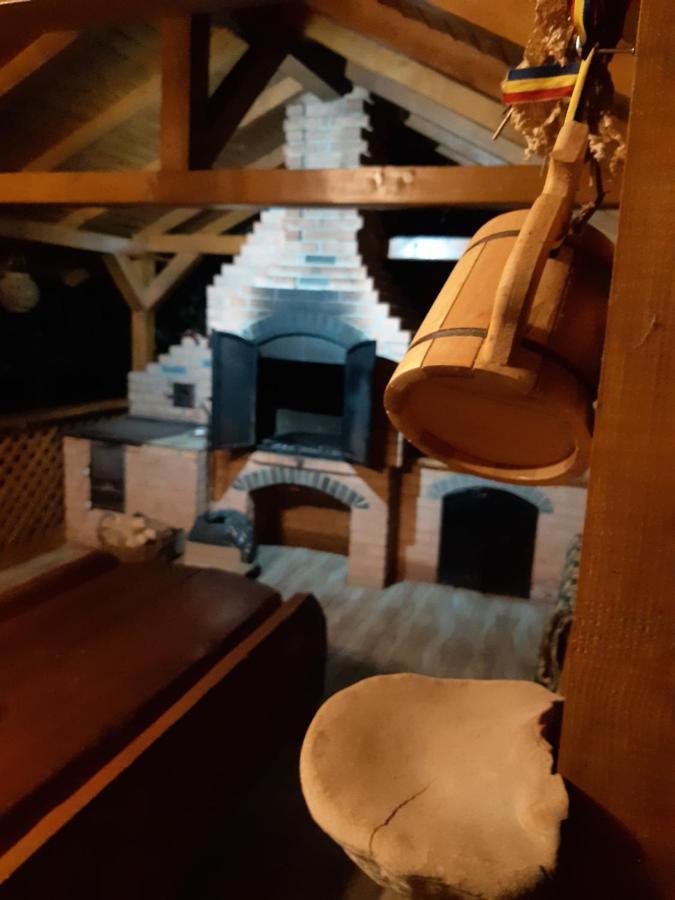 Casa Dintre Pini Villa Păltinoasa Exteriör bild