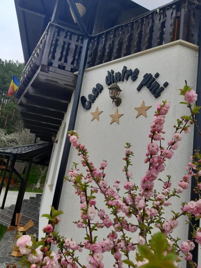 Casa Dintre Pini Villa Păltinoasa Exteriör bild