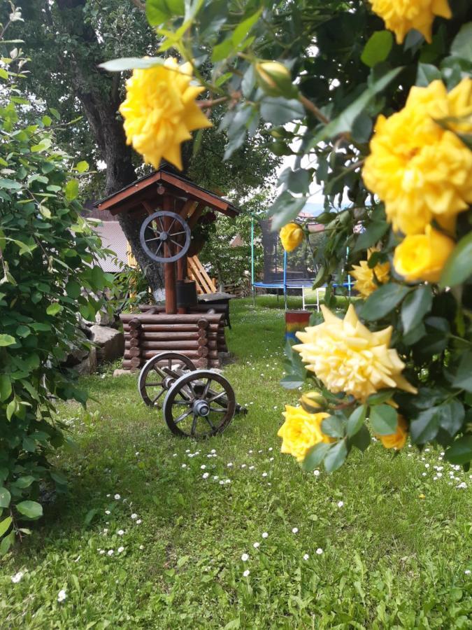 Casa Dintre Pini Villa Păltinoasa Exteriör bild