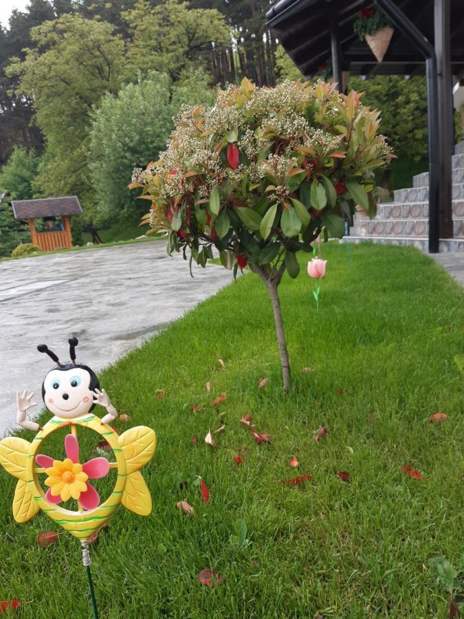Casa Dintre Pini Villa Păltinoasa Exteriör bild