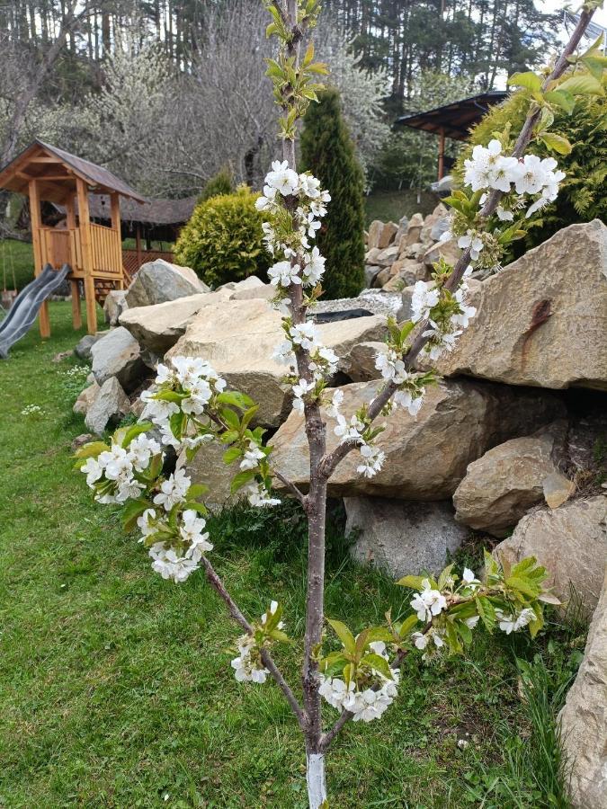 Casa Dintre Pini Villa Păltinoasa Exteriör bild