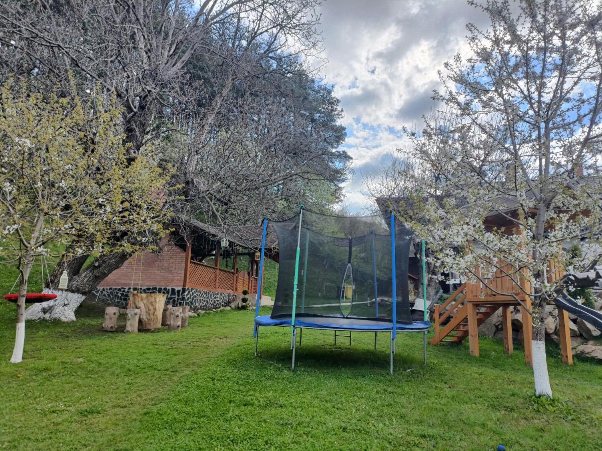 Casa Dintre Pini Villa Păltinoasa Exteriör bild