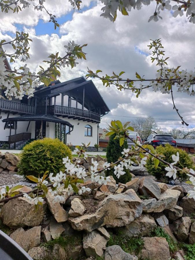 Casa Dintre Pini Villa Păltinoasa Exteriör bild