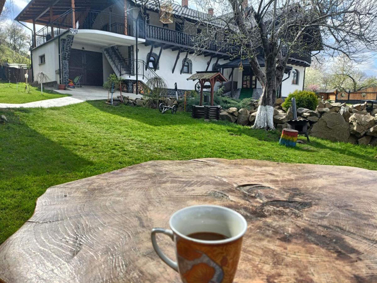 Casa Dintre Pini Villa Păltinoasa Exteriör bild