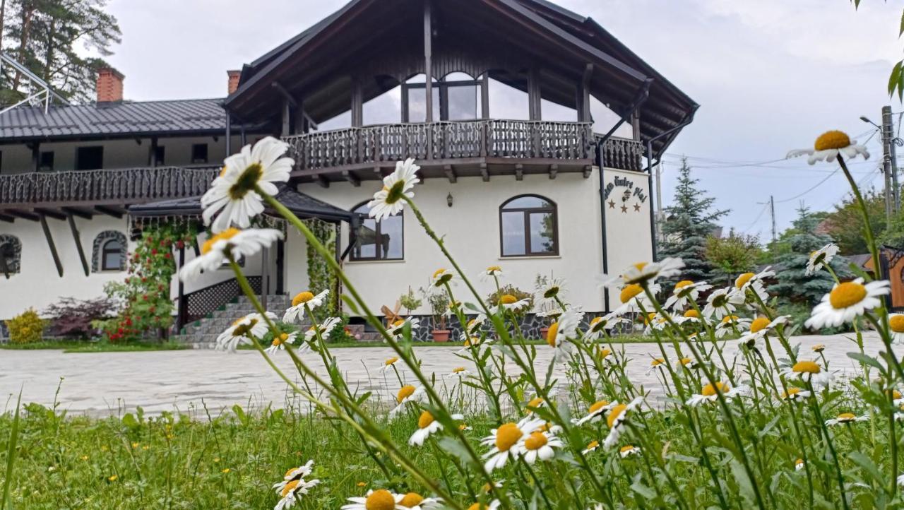 Casa Dintre Pini Villa Păltinoasa Exteriör bild