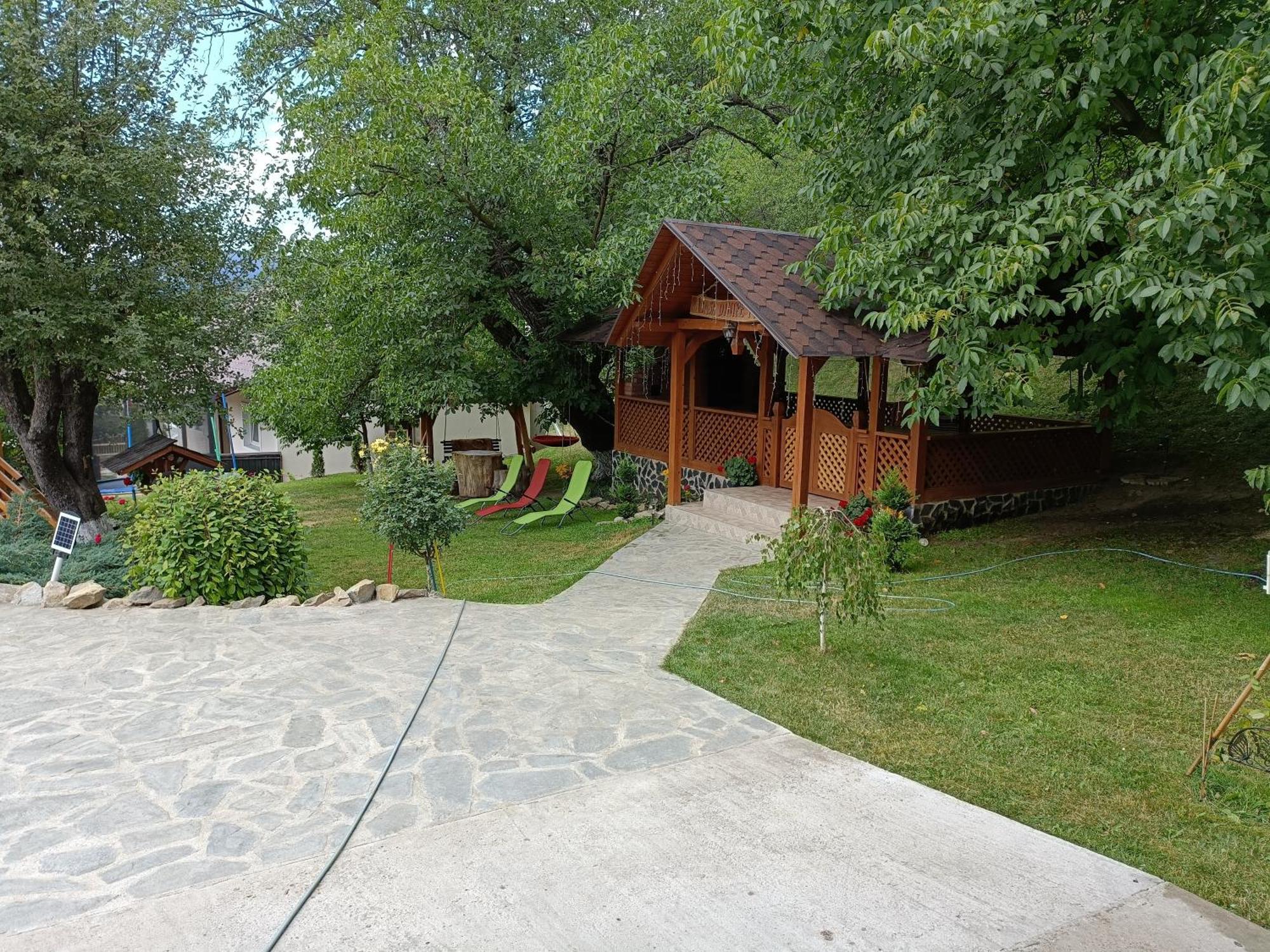 Casa Dintre Pini Villa Păltinoasa Exteriör bild